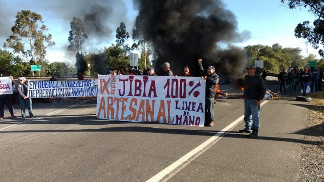 Pesquera de Talcahuano anunció despidos masivos por ley de la jibia