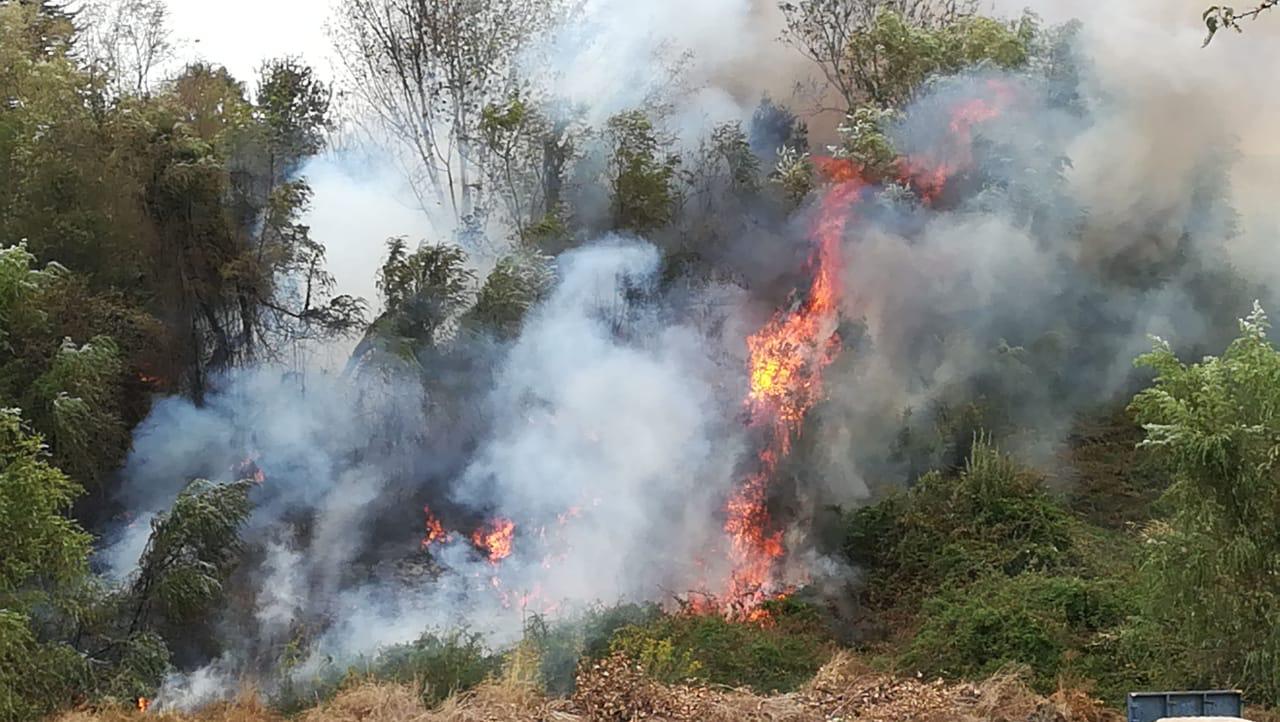Incendio amenaza a viviendas al costado del cerro Chacabuco en Concepción