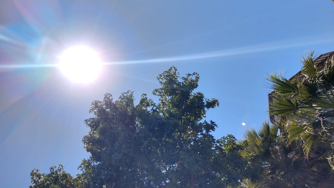Por altas temperaturas declaran Alerta Temprana Preventiva para el Biobío