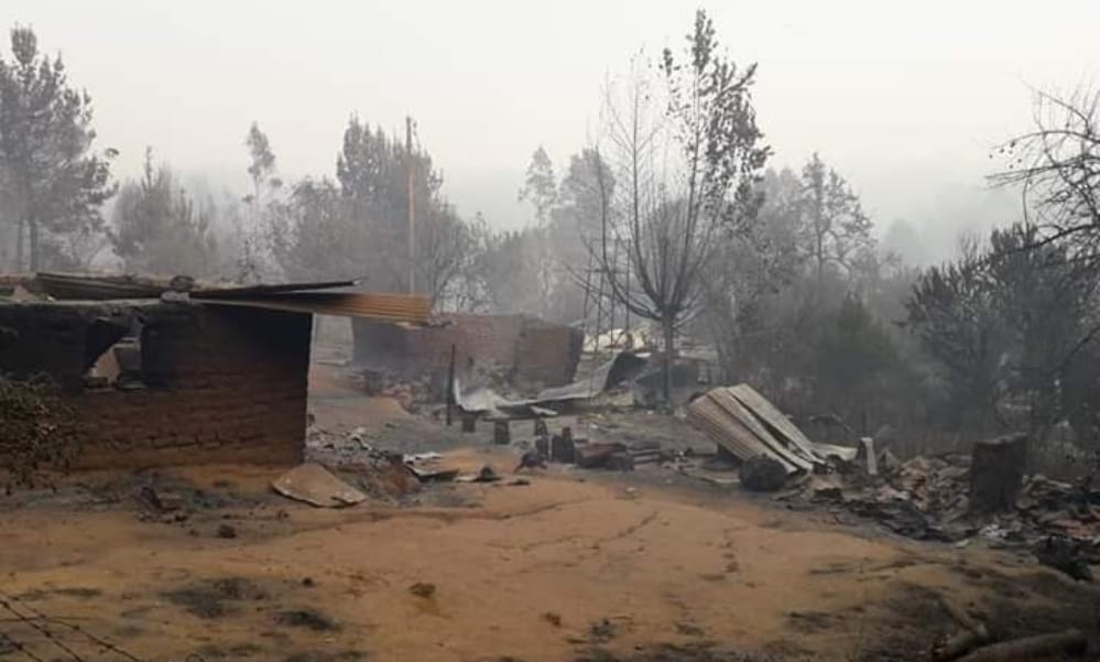 Sube a 5 el número de casas quemadas por incendio forestal en Nacimiento