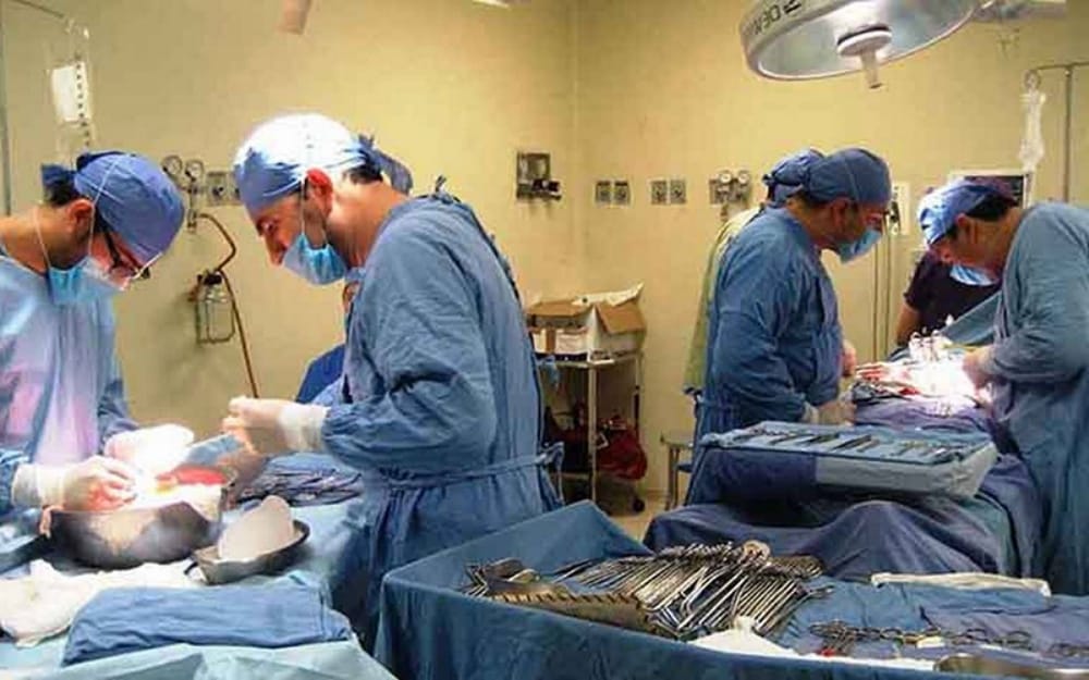 Senado: Buscan ampliar donación de órganos a parientes por afinidad
