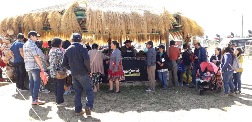 Feria Agrícola, Ganadera y Forestal realiza su XX versión y se consolida como la feria más importante del Biobío