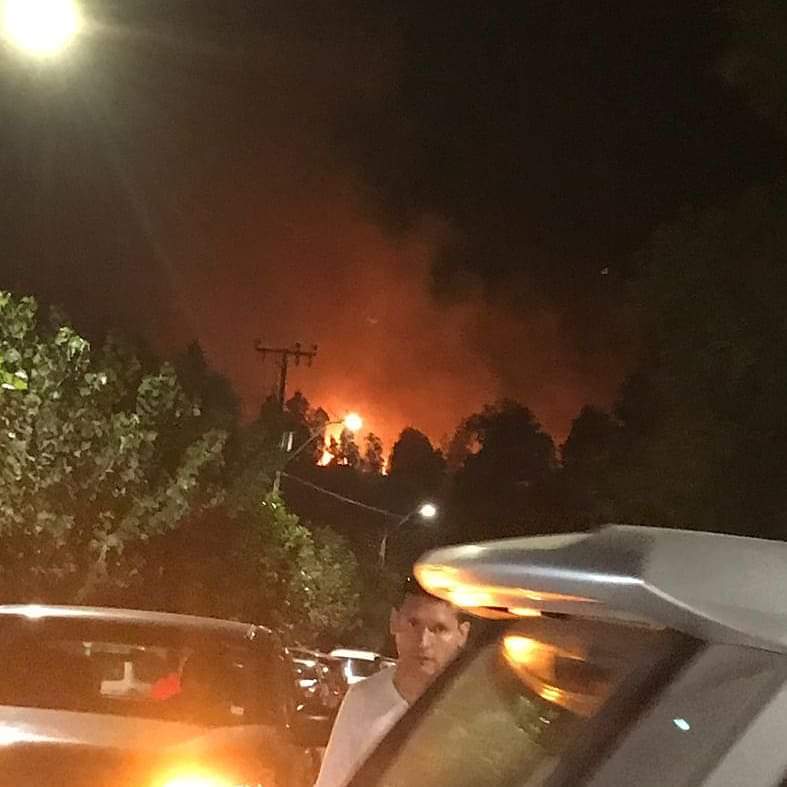 Incendio forestal afecta a Talcamávida en Hualqui