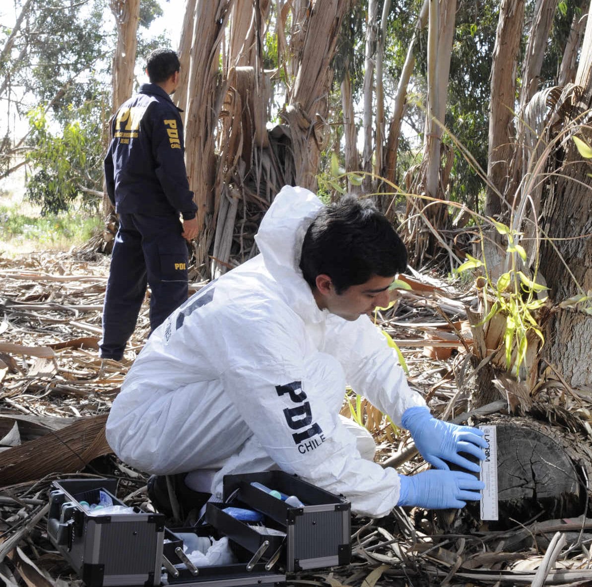 Detienen a sujeto por incendio forestal registrado en San Pedro de la Paz