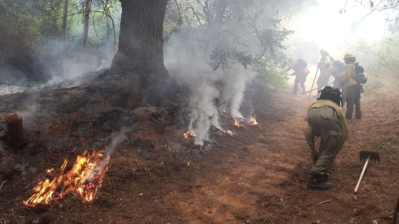 287 personas han requerido atención de salud por incendios en el Biobío
