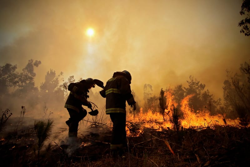 En un 81% han aumentado los incendios forestales en la Región del Biobío durante la presente temporada