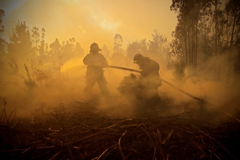 Incendios forestales han aumentado un 52% y ya van 281 en la actual temporada en Biobío