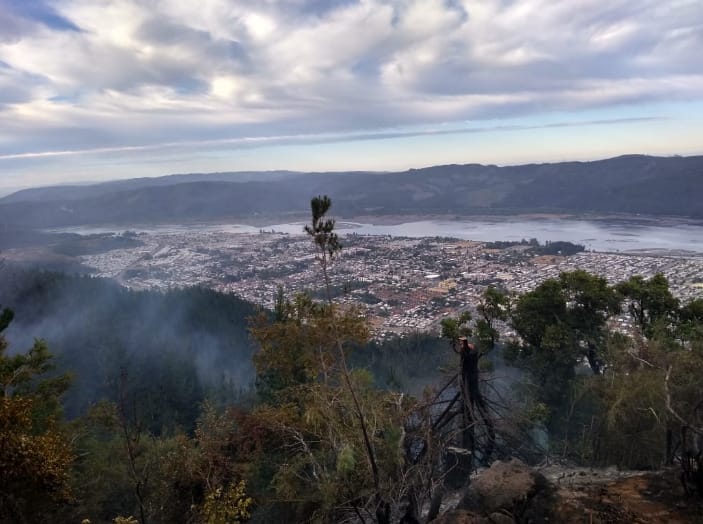 Cuatro jóvenes fueron detenidos por incendio en cerro Manquimávida de Chiguayante