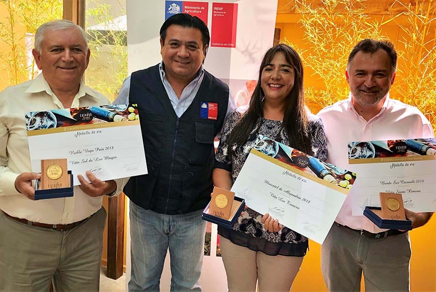 Premian a viñas del Biobío en Concurso Catad’Or Ancestral Wine Awards 2019