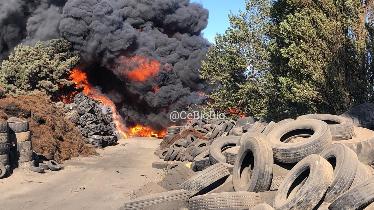 ¡No, no es Springfield! Voraz incendio consume fábrica de neumáticos en Talcahuano