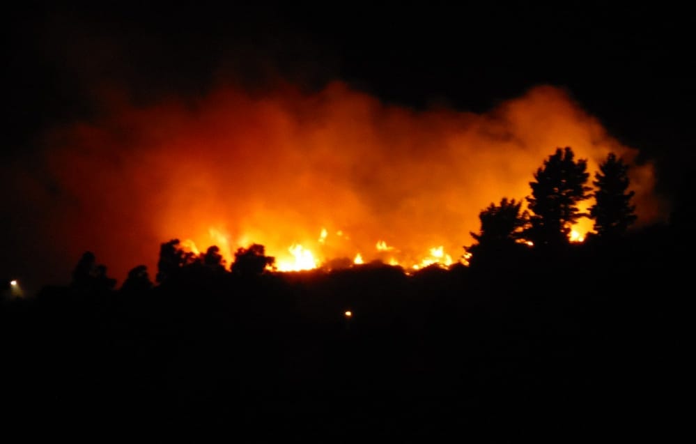 Gran Concepción bajo fuego: Incendio Forestal afecta a vecinos de Lirquén