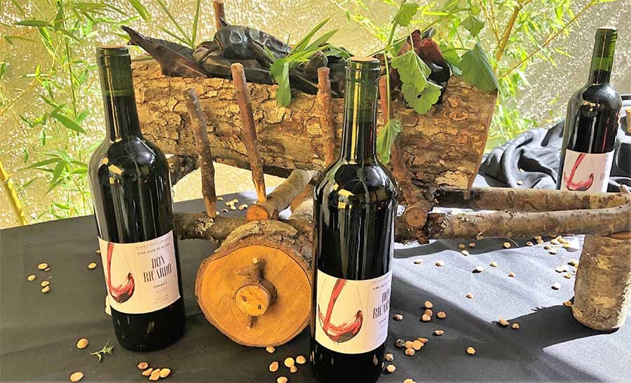 Lanzan programa de apoyo a la reactivación para pymes turísticas del Biobío