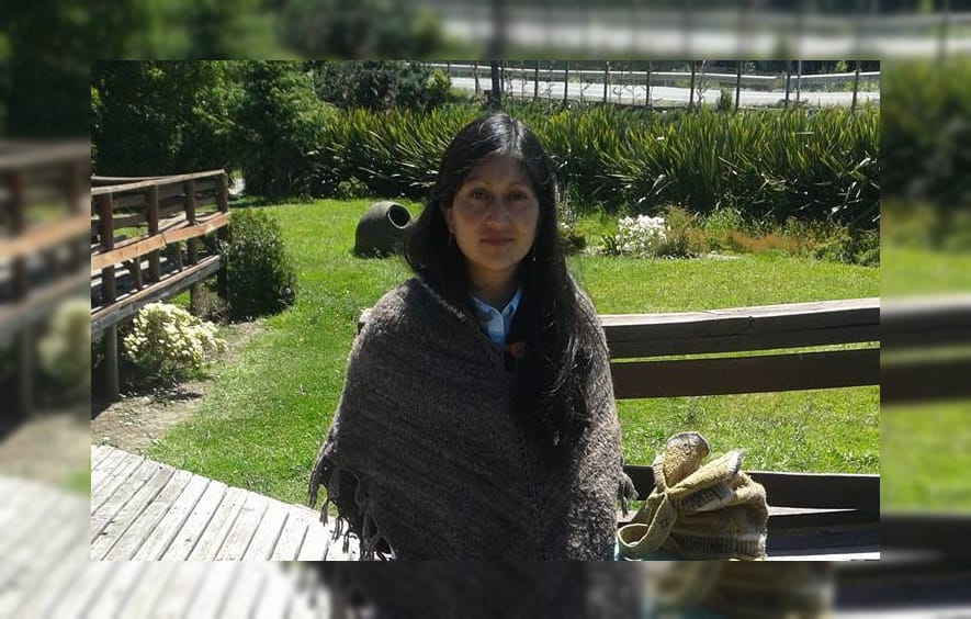 Interponen millonaria demanda contra el Estado por muerte de mujer mapuche tras dar a luz en Contulmo