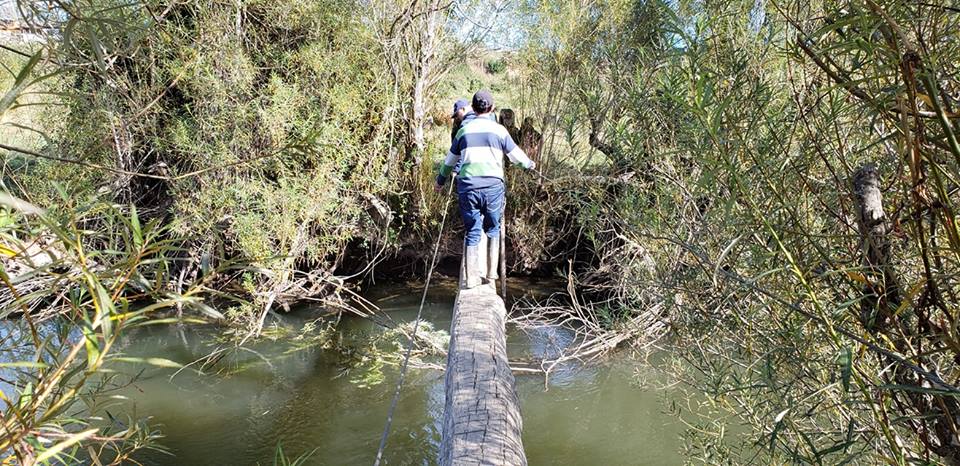 Hombre muere tras caer a río cuando arreglaba un puente artesanal