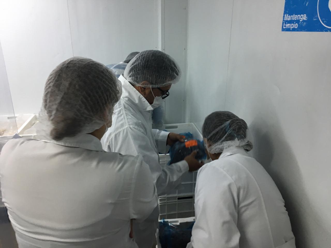Hallan caca de ratón en panadería penal de Concepción