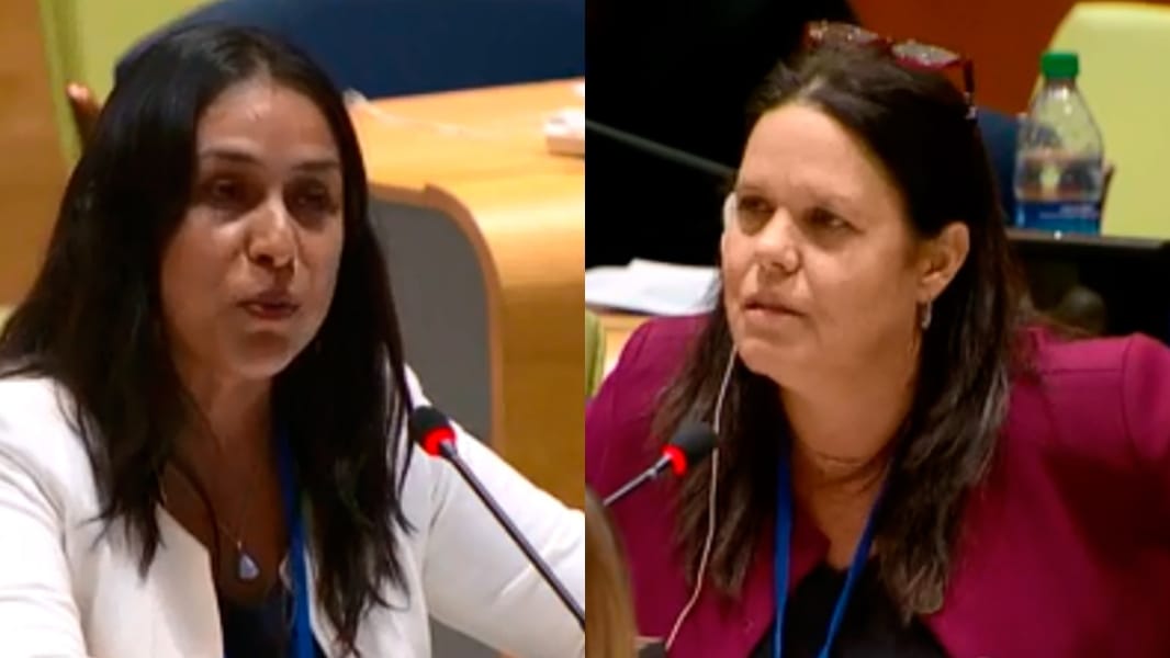 Round de diputada del Biobío en ONU Mujeres por discurso provida