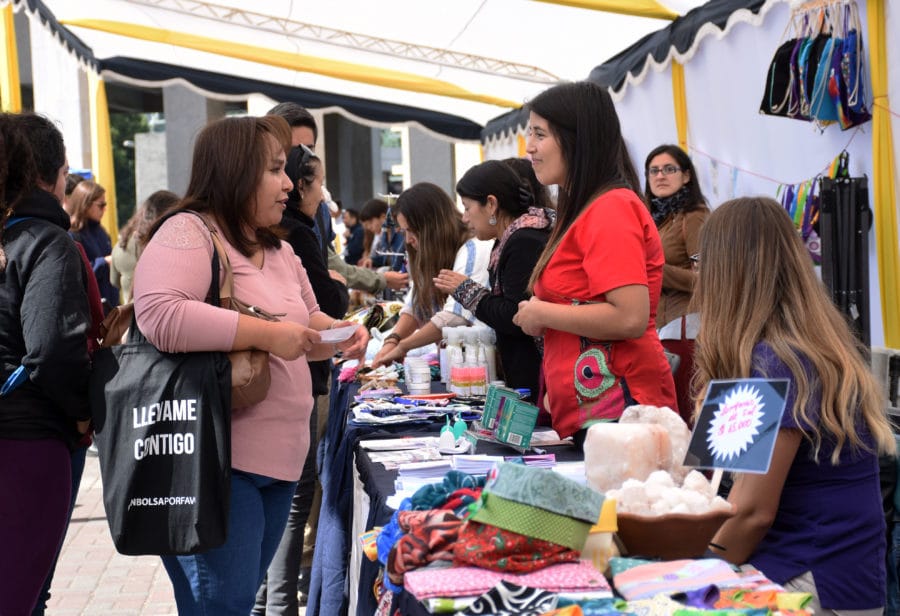 Multitudinaria Feria de Mujeres Penquistas se desarrolló con éxito en la Plaza de Tribunales