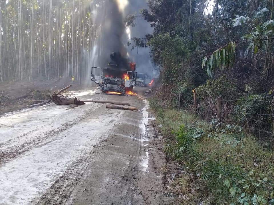 Nuevo ataque incendiario deja camiones y máquinas quemadas en Contulmo