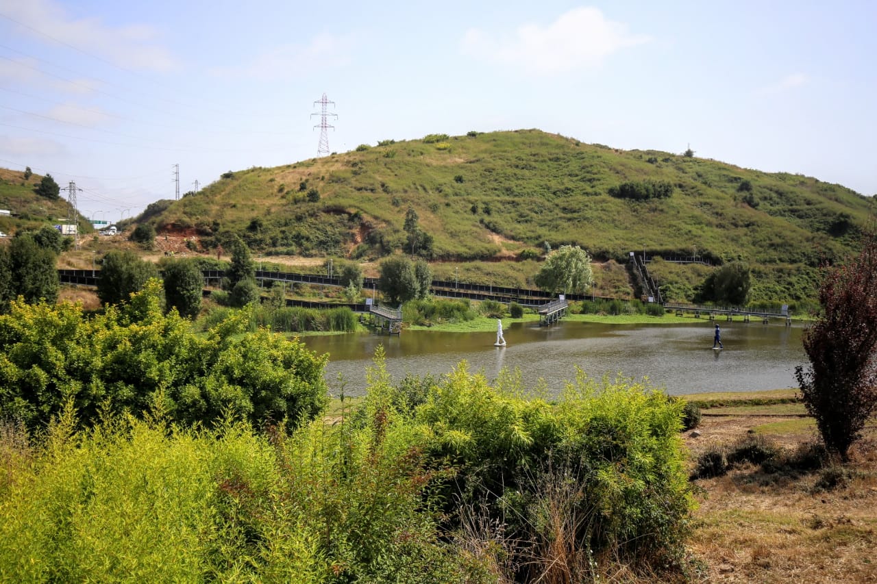 Laguna Lo Galindo de Concepción presenta renovado rostro