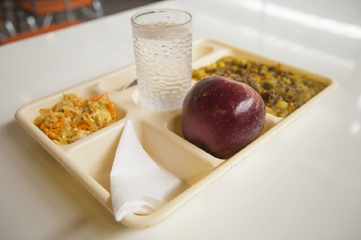 Aprueban proyecto que incluye alimentación vegana y vegetariana en menú Junaeb