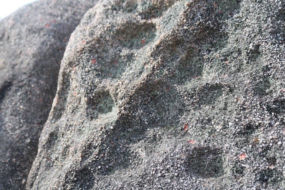 ¿Petroglifos en Hualqui? El desconocido patrimonio cultural Inca que presenta severos daños