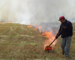 Levantan prohibición de quemas agrícolas para toda la Región del Biobío