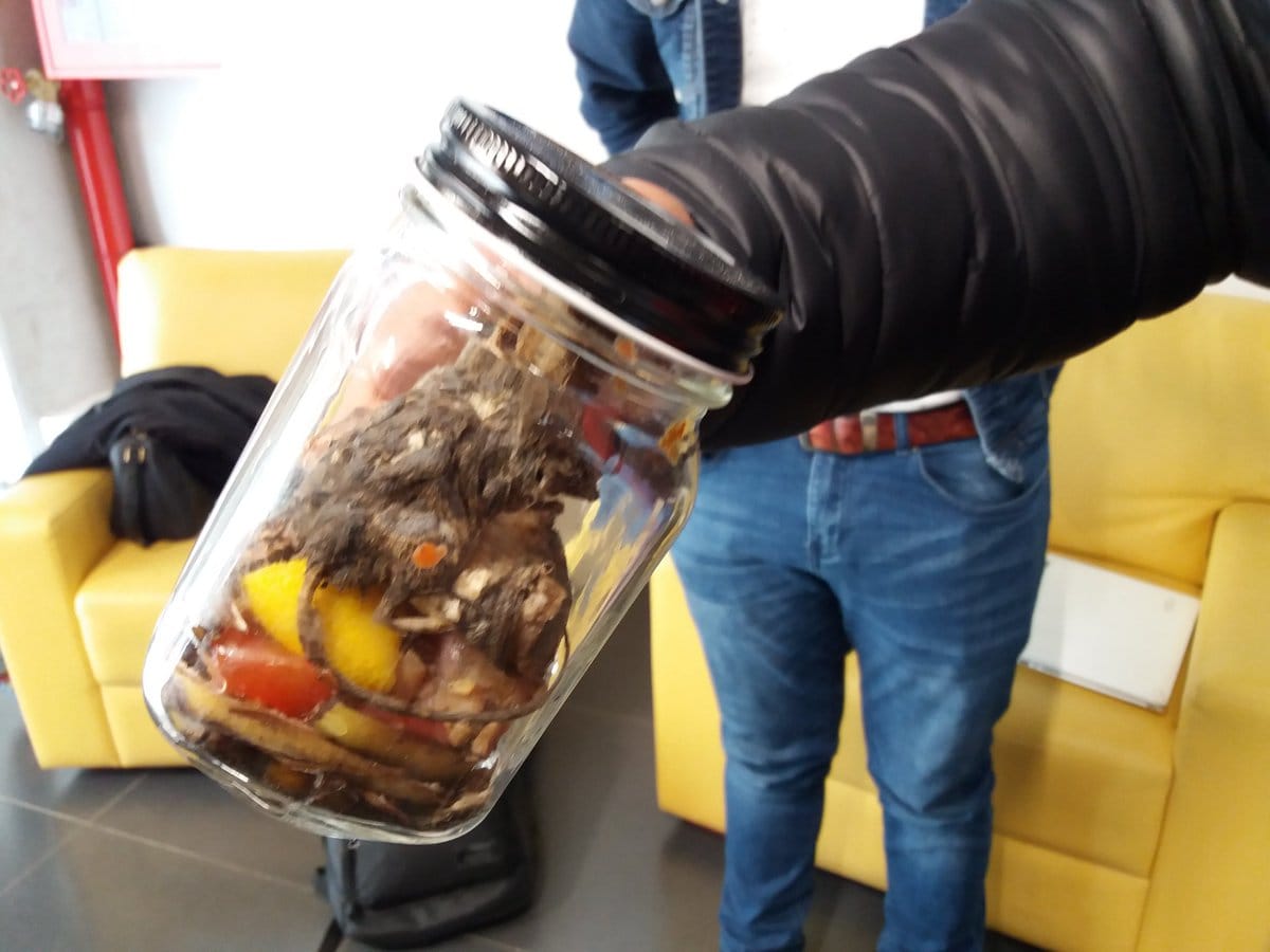 Vecinos de Michaihue llegaron con ratón en un frasco al Serviu para pedir solución a las plagas