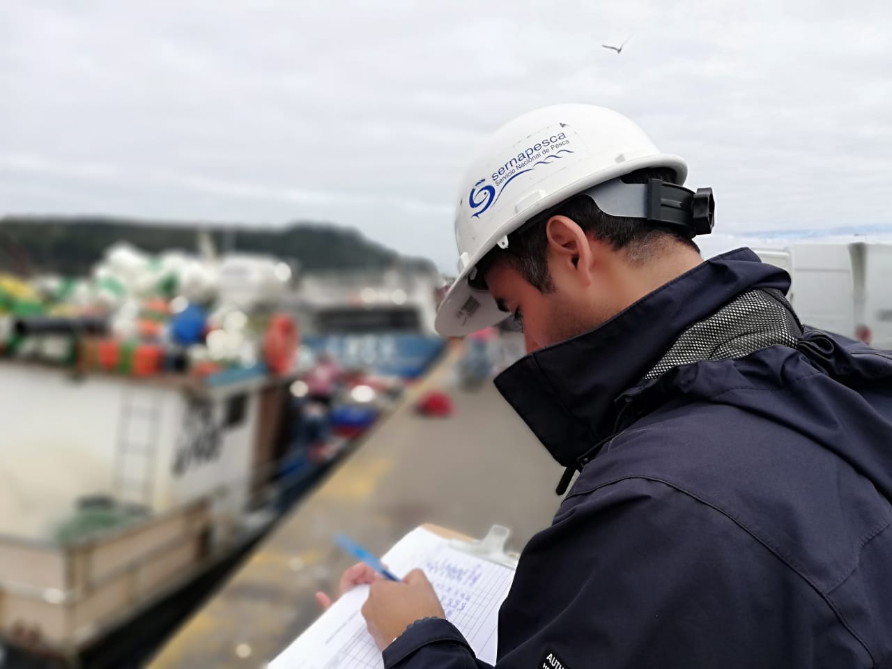 Golpe a la pesca ilegal: Corte Suprema ratifica Sistema de Trazabilidad de Sernapesca como único medio para informar desembarques