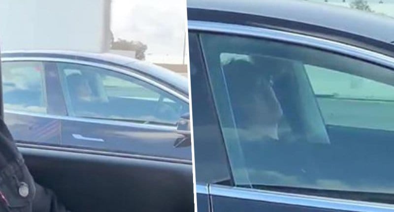 Graban a joven durmiendo detrás del volante de un Tesla en piloto automático a 120 km/h