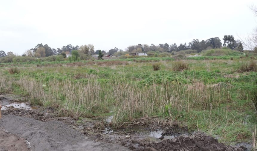 Buscan que cuatro comunas del gran Concepción tengan un plebiscito