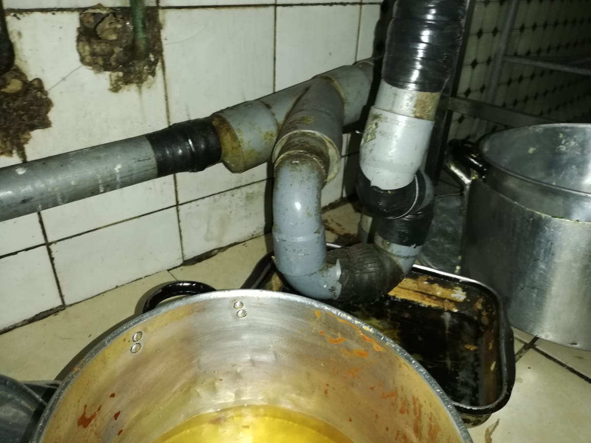 Encuentran cucarachas vivas en local de comida en Lebu: Decretan cierre del recinto