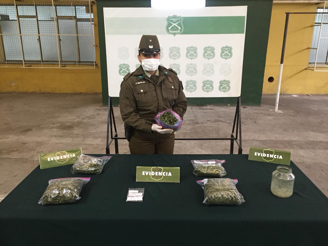 Fuerte olor a marihuana en Chiguayante lo delató: incautan más de 3600 dosis