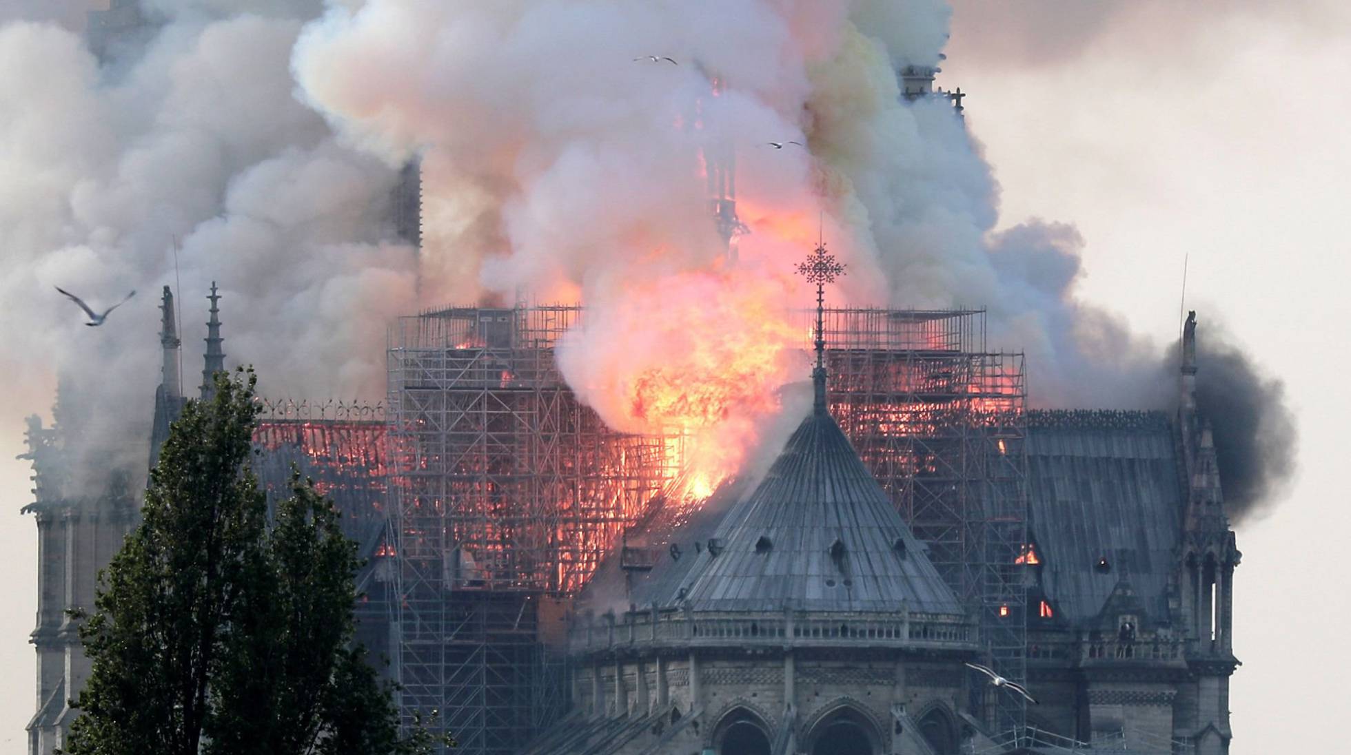 VIDEO | Incendio arrasa catedral de Notre Dame: Fuego derrumba emblemática aguja