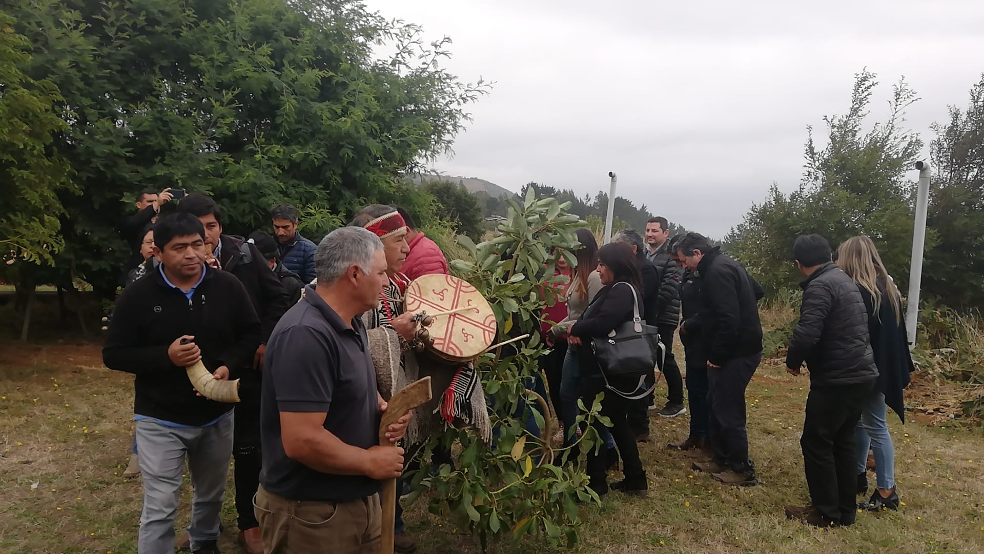 Pueblos originarios piden política especial de salud por la pandemia Covid-19