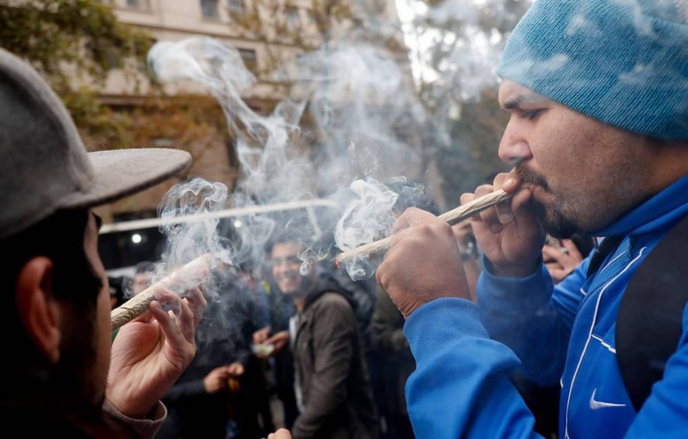 Estudio revela que consumo de marihuana se masifica entre jóvenes del Biobío