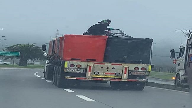 Carabineros detuvo a “gato” cuando robaba pescado en transitada avenida de Talcahuano