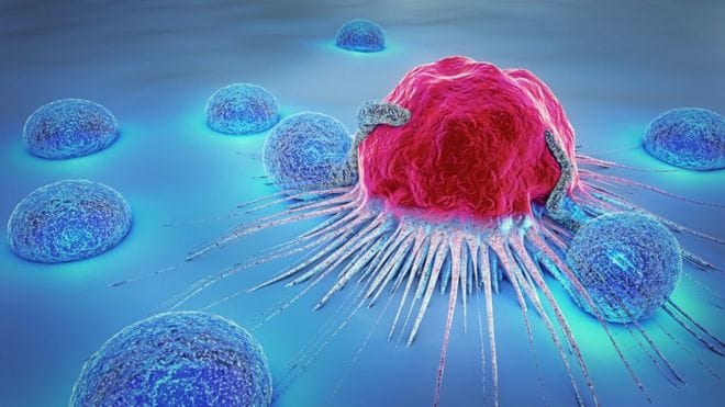 ¿Solución al cáncer?: Investigadores UdeC descubren cómo matar tumores cancerígenos