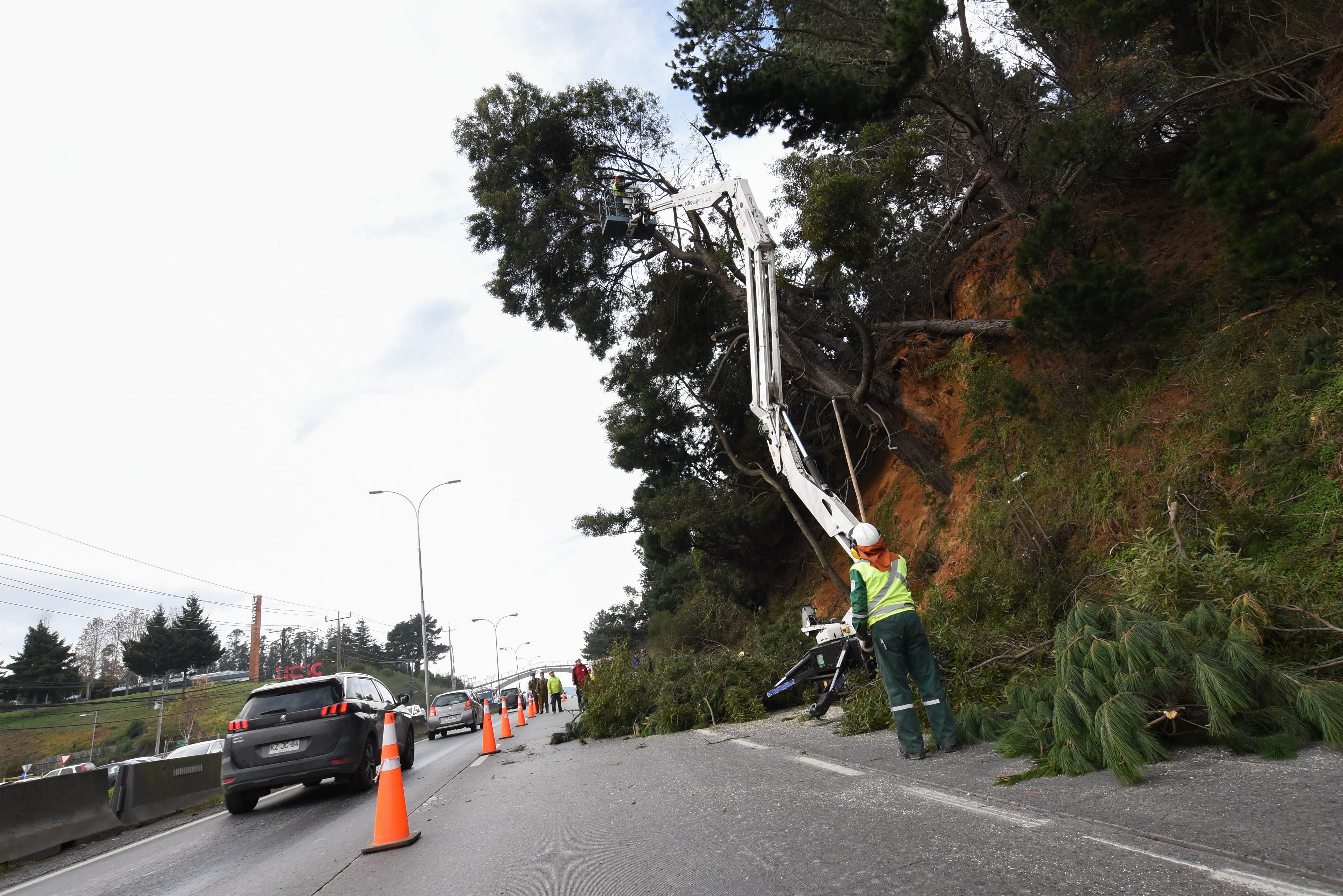 Explican trabajos que generaron gran congestión en autopista Concepción Talcahuano