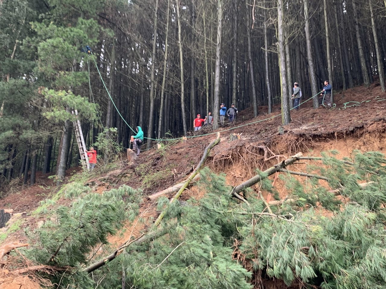 Derrumbe de cerro afectó a vivienda y cortó el camino en Coliumo