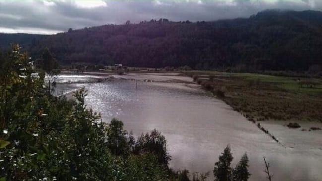 Intensas precipitaciones provocaron el desborde del río Pichilo en Arauco