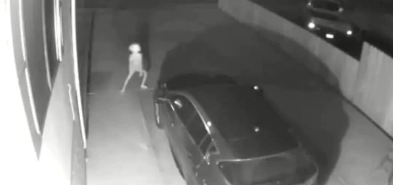 ¿Fake o realidad? Cámara de vigilancia capta a misteriosa criatura deambulando