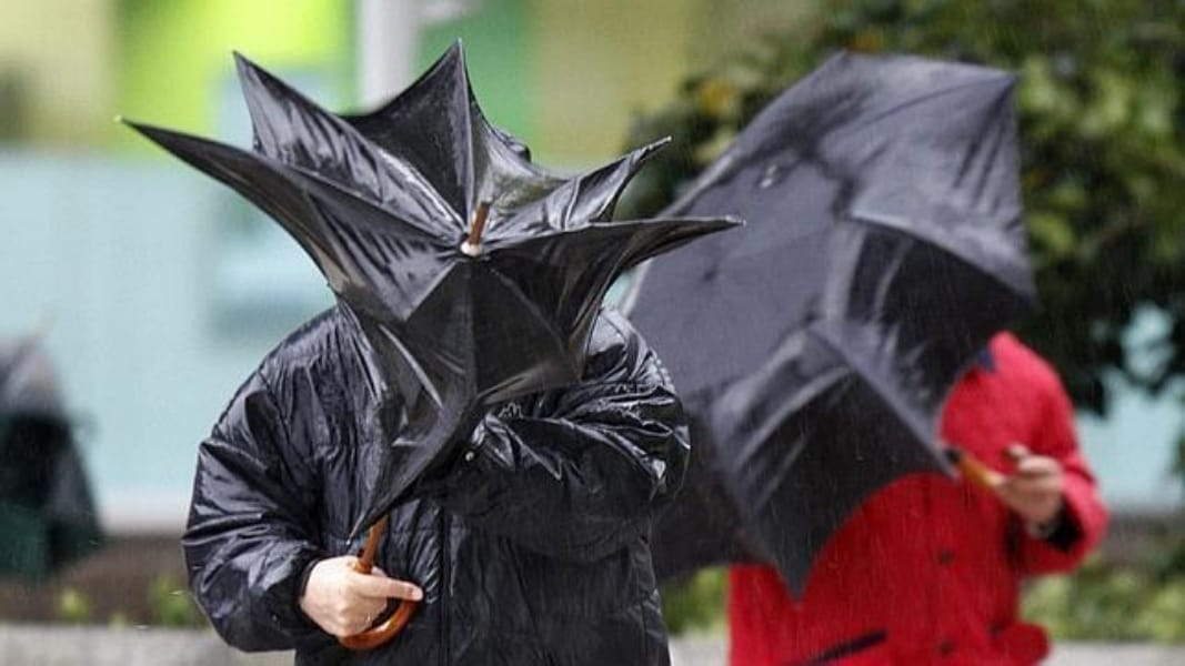 Meteorología emite alerta para el Biobío por posibilidad de fuertes vientos