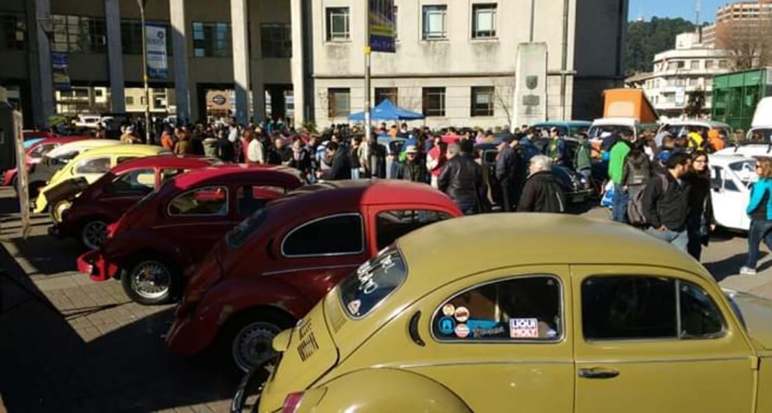 Amantes del Volkswagen “escarabajo” preparan masivo evento en Concepción
