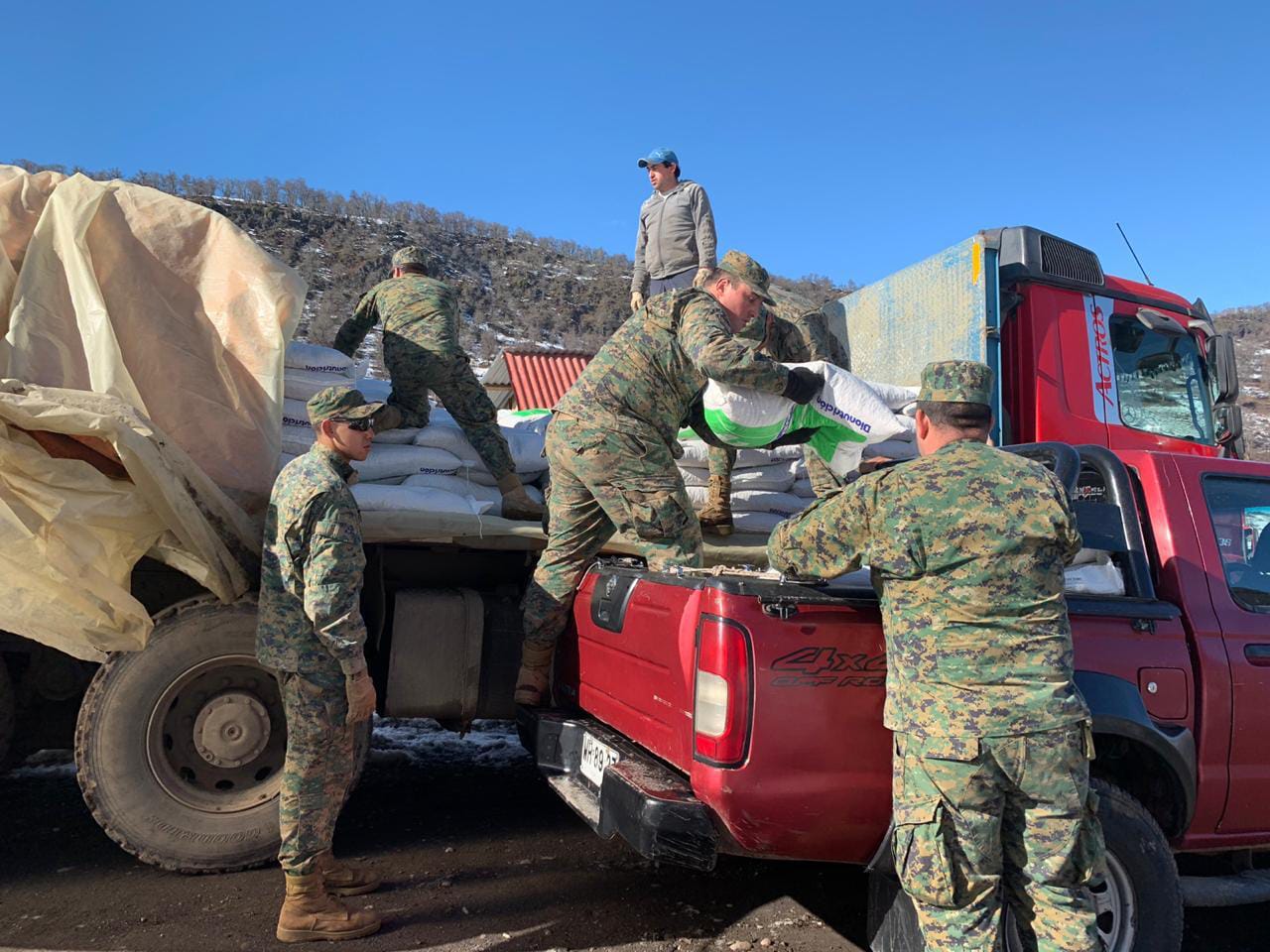 Ejército y Carabineros apoyan en entrega de forraje para 2.000 agricultores de Alto Biobío