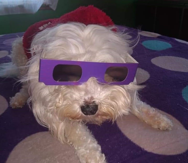 Lentes para ver el eclipse enviados por el Gobierno al Biobío terminaron en un concurso de facebook