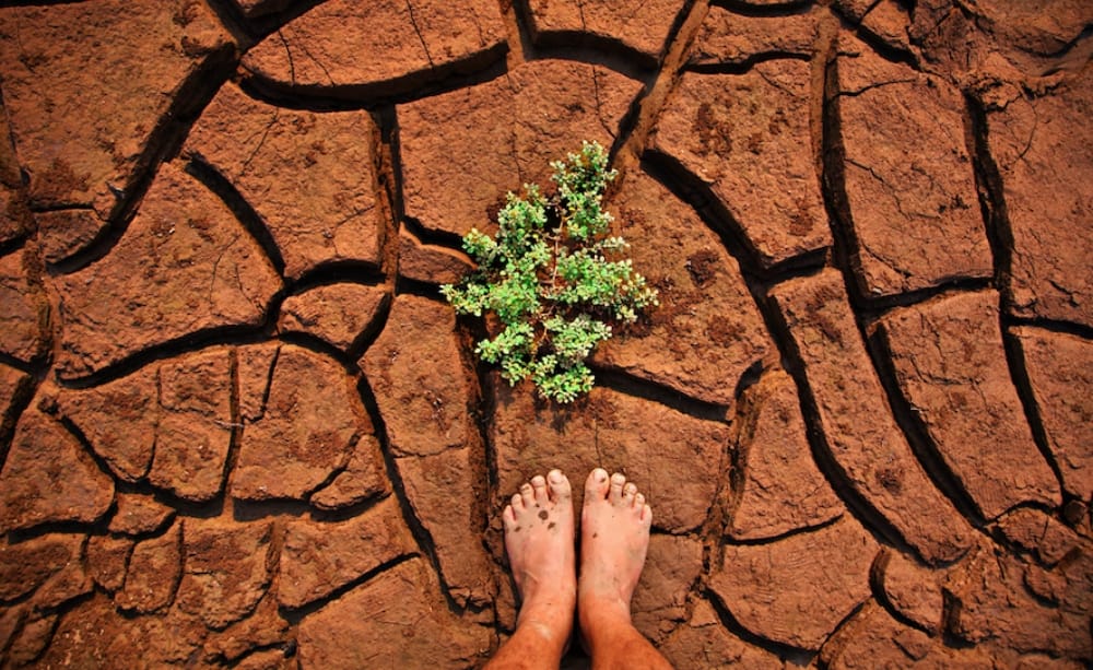 Diputado del Biobío impulsa plataforma COP25 Ciudadana para adquirir compromisos verdes