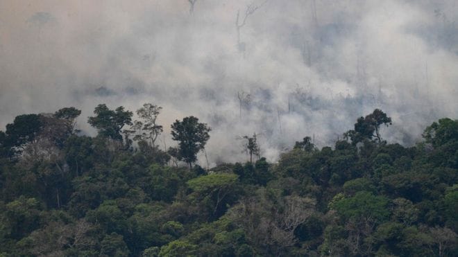 Incendio en la Amazonía: Fuerzas Armadas de Brasil comenzaron trabajos