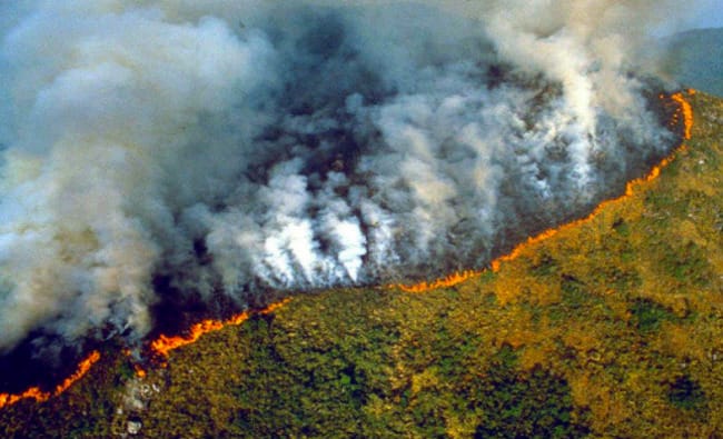 G7 donará 20 millones de dólares como ayuda de emergencia para la Amazonía