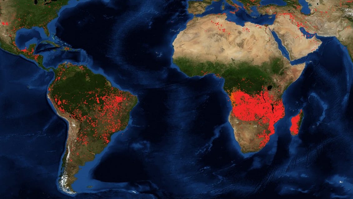 Incendios forestales en África: Arde el “segundo pulmón verde” del planeta