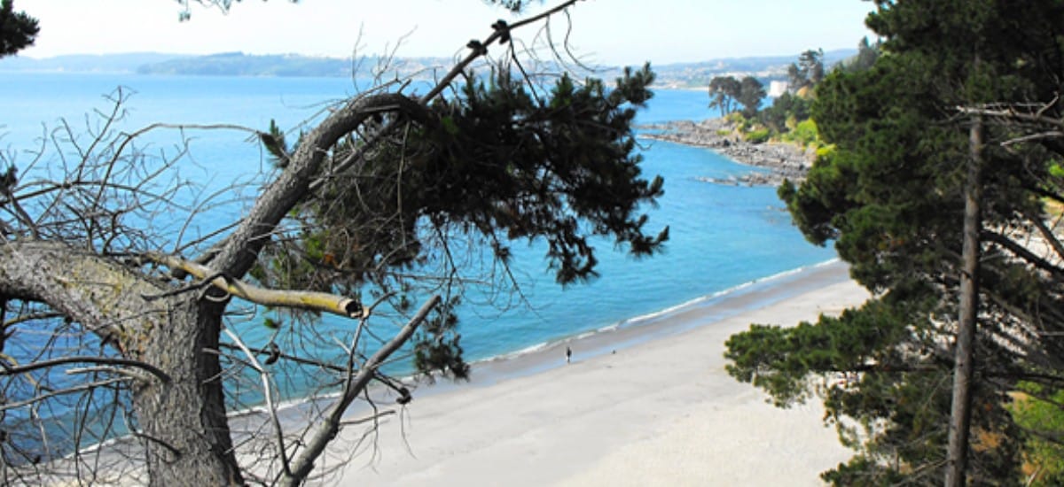 Bienes Nacionales va por Punta de Parra: Fiscalizarán para reformular acceso gratis a la playa
